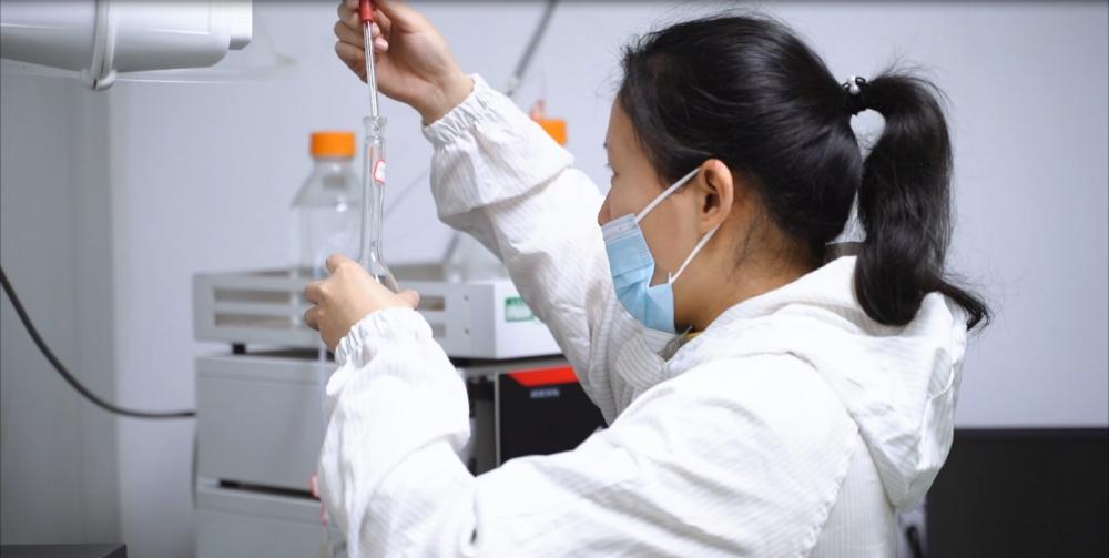 Naujovių augalinė gamyba