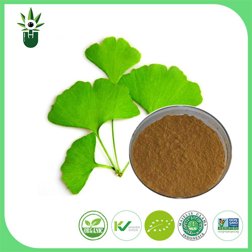 Kokie simptomai gali būti naudojami „Ginkgo Biloba“ lapų ekstraktui?