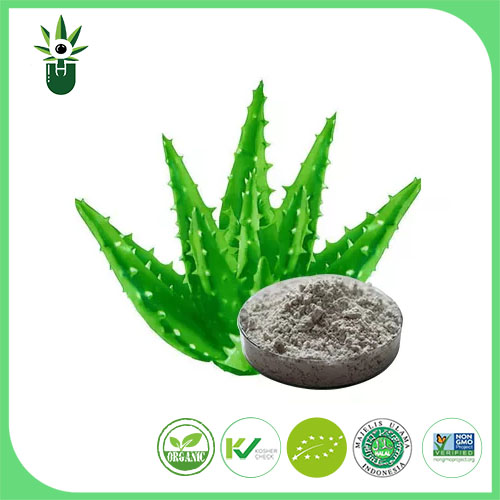 Aloe Vera ekstraktas